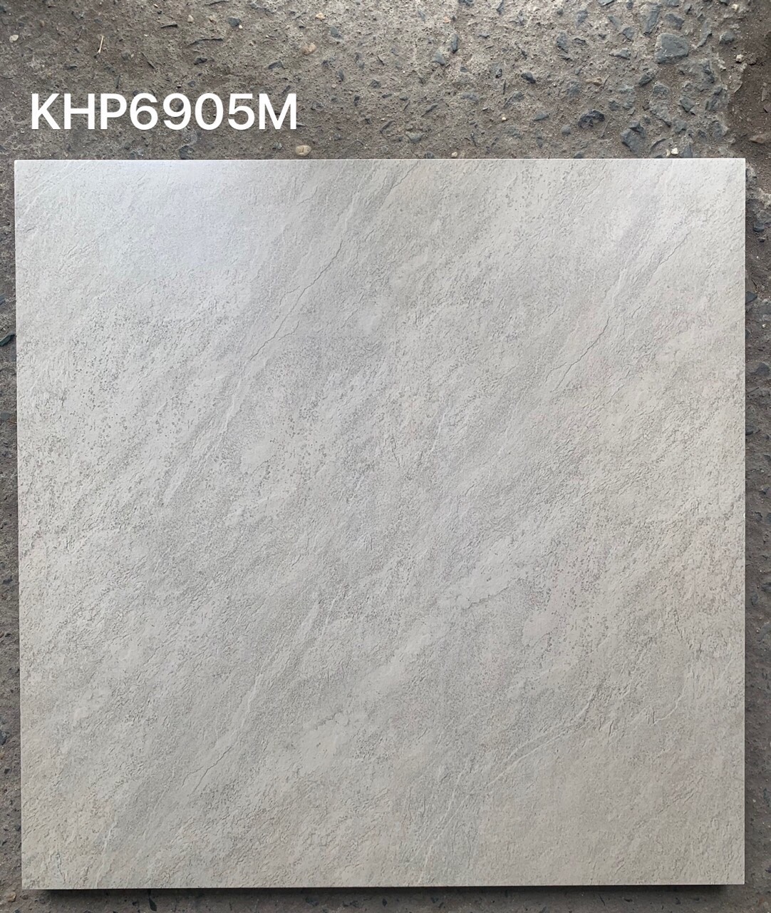 Gạch Viglacera 600x600 KHP6905M