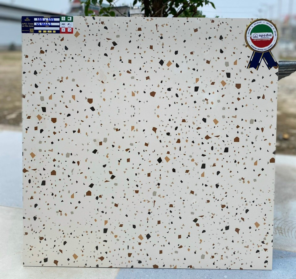 Gạch Terrazzo APODIO 60X60 Apothin Ultraslim US66663